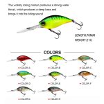 2 Stück Inner Laser Deep Dive Sea Fishing Rock Fat Fake Bait Plastic Stiff BaitSport, Angelsport, Köder, Futtermittel & Fliegen! – Bild 3