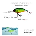 2 Stück Inner Laser Deep Dive Sea Fishing Rock Fat Fake Bait Plastic Stiff BaitSport, Angelsport, Köder, Futtermittel & Fliegen! – Bild 4