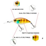 2 Stück Inner Laser Deep Dive Sea Fishing Rock Fat Fake Bait Plastic Stiff BaitSport, Angelsport, Köder, Futtermittel & Fliegen! – Bild 5