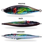 PROBEROS LF137 3D Spray Painted Bionic Lure Warp Bass Leader Fish Long Casting Süßwasser Meer Leuchtender Angelköder, 60g, 100g – Bild 5
