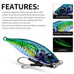 PROBEROS LF137 3D Spray Painted Bionic Lure Warp Bass Leader Fish Long Casting Süßwasser Meer Leuchtender Angelköder, 60g, 100g – Bild 7