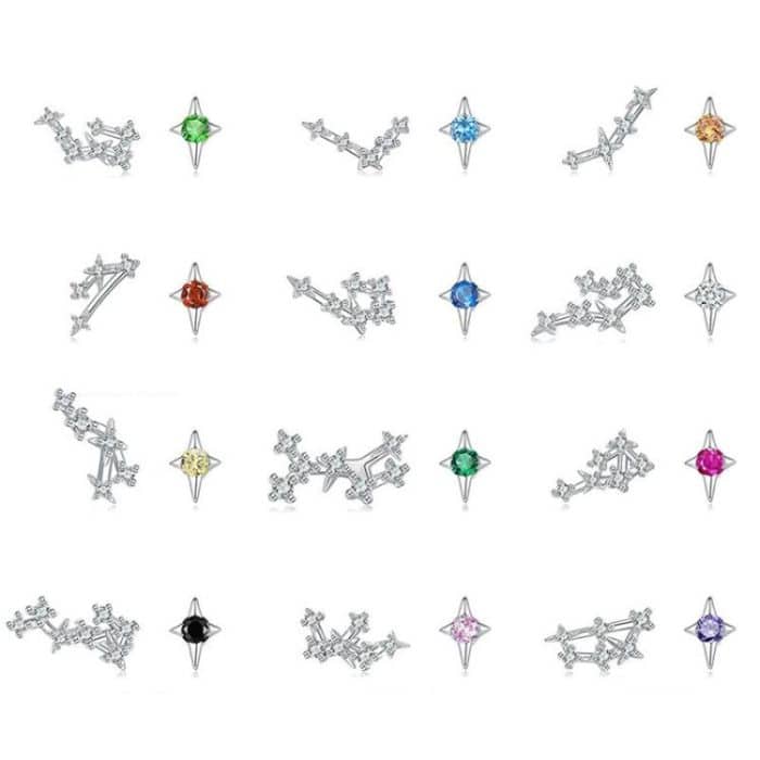 S925 Sterling Silver Inlaid Zircon Twelve Constellation Earrings – Bild 2