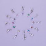 S925 Sterling Silver Inlaid Zircon Twelve Constellation Earrings – Bild 3