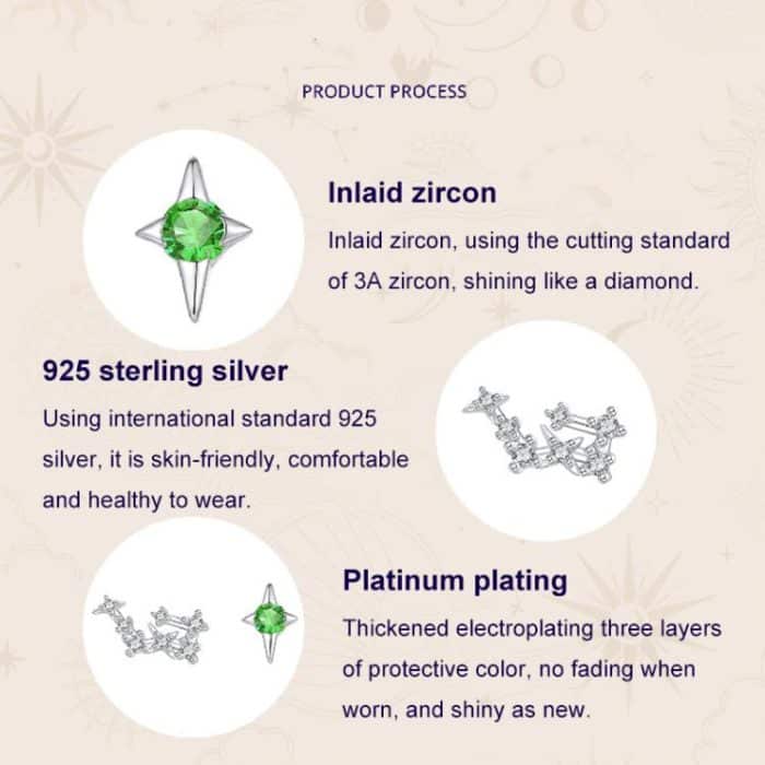 S925 Sterling Silver Inlaid Zircon Twelve Constellation Earrings – Bild 4