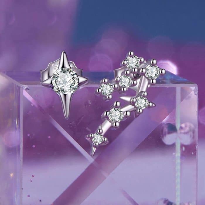 S925 Sterling Silver Inlaid Zircon Twelve Constellation Earrings – Bild 5