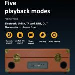 SDRD Wooden Box Karaoke Machine With Wireless Dual Mics All-In-One Speaker System Supports U Disk/TF Card – Bild 4