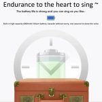 SDRD Wooden Box Karaoke Machine With Wireless Dual Mics All-In-One Speaker System Supports U Disk/TF Card – Bild 6