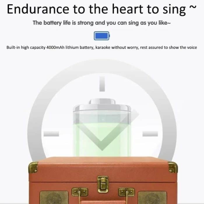 SDRD Wooden Box Karaoke Machine With Wireless Dual Mics All-In-One Speaker System Supports U Disk/TF Card – Bild 6