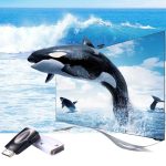 Full HD 1080P HDMI zu VGA und Audio Adapter für HDTV / Monitor / Projektor (schwarz) – Bild 8